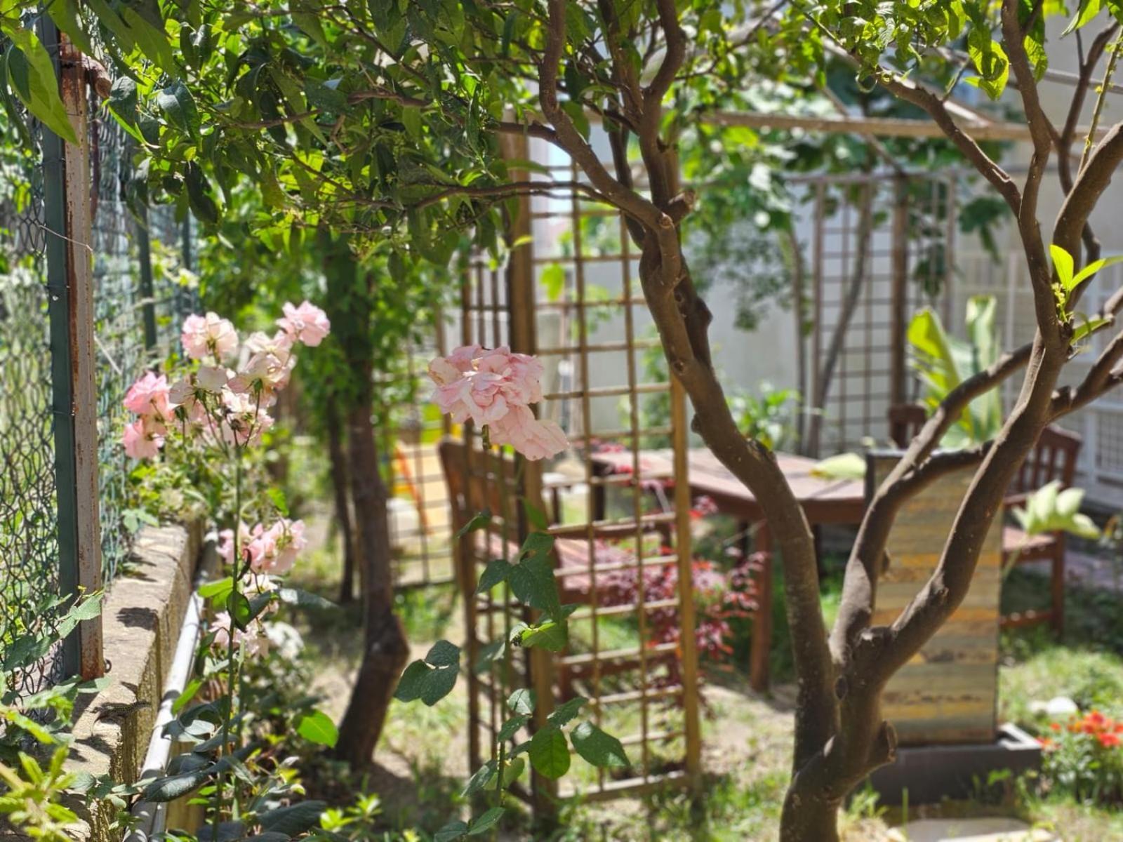 Prestige Casa Vacanze Catanzaro Bagian luar foto